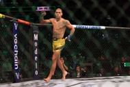 UFC 281: Adesanya v Pereira